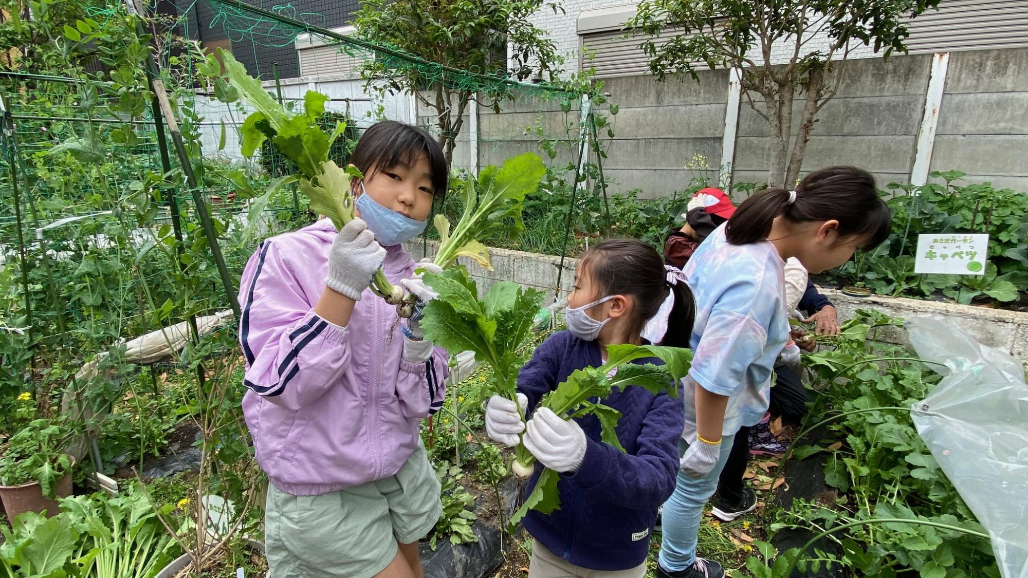 収穫した大根を手に持つ小学生の写真