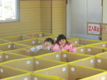 ダンボール迷路をしている子どもたちの写真