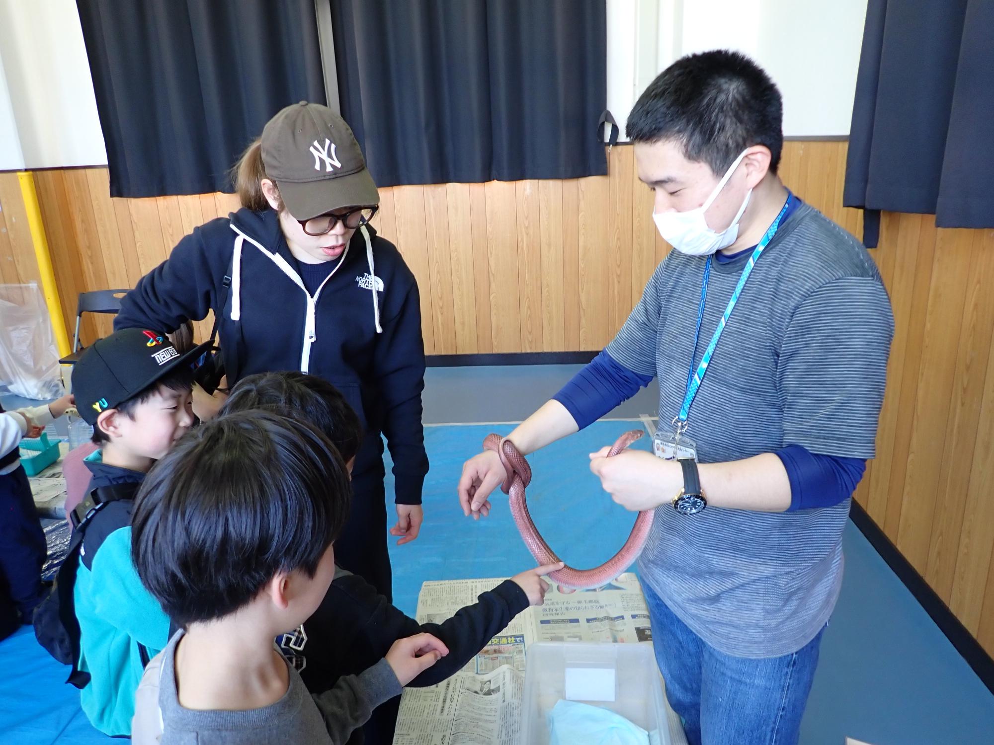 子どもがヘビを触っている様子