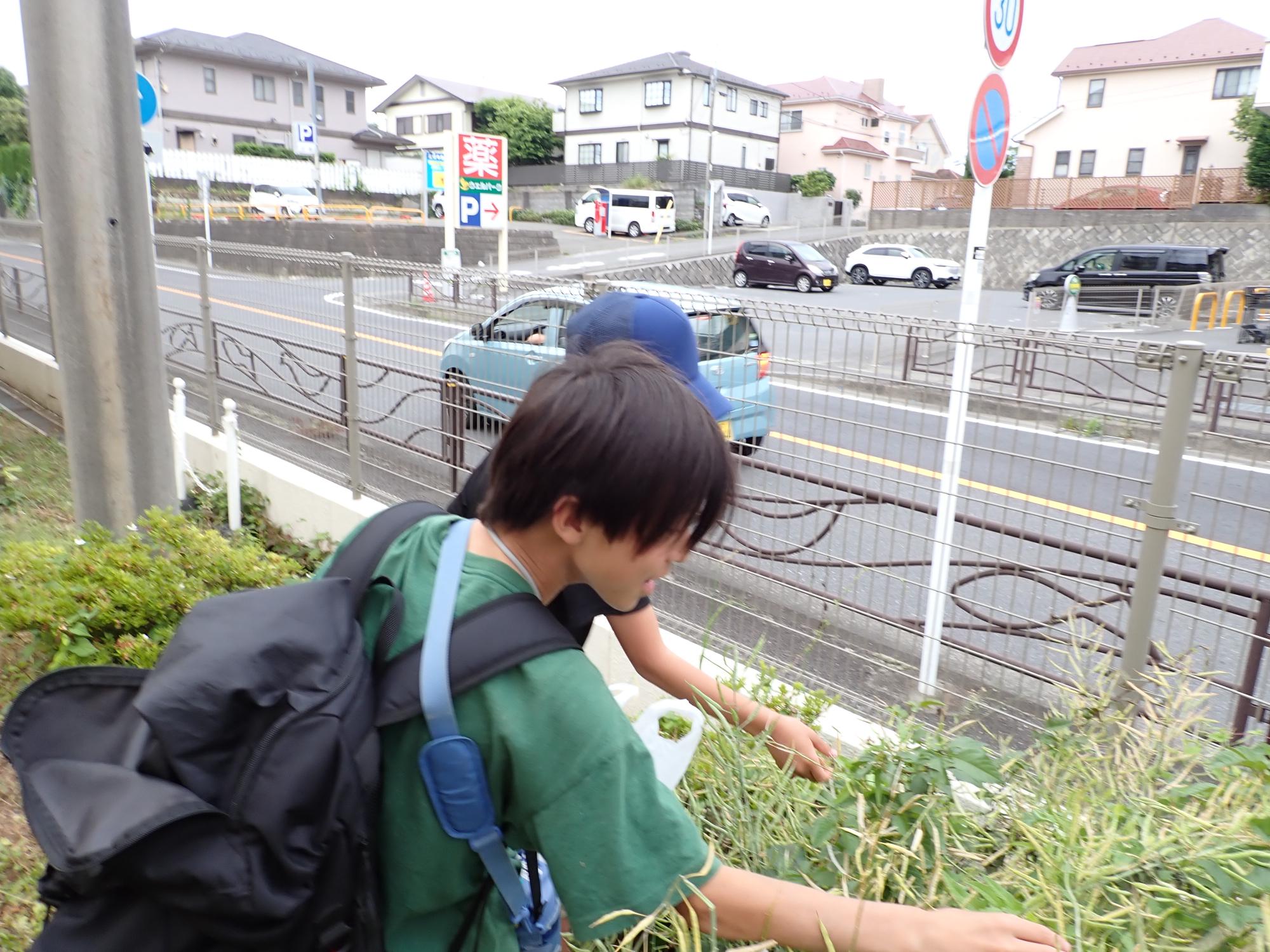 意外と収穫が楽しく、徐々に笑顔になっていく参加者の写真