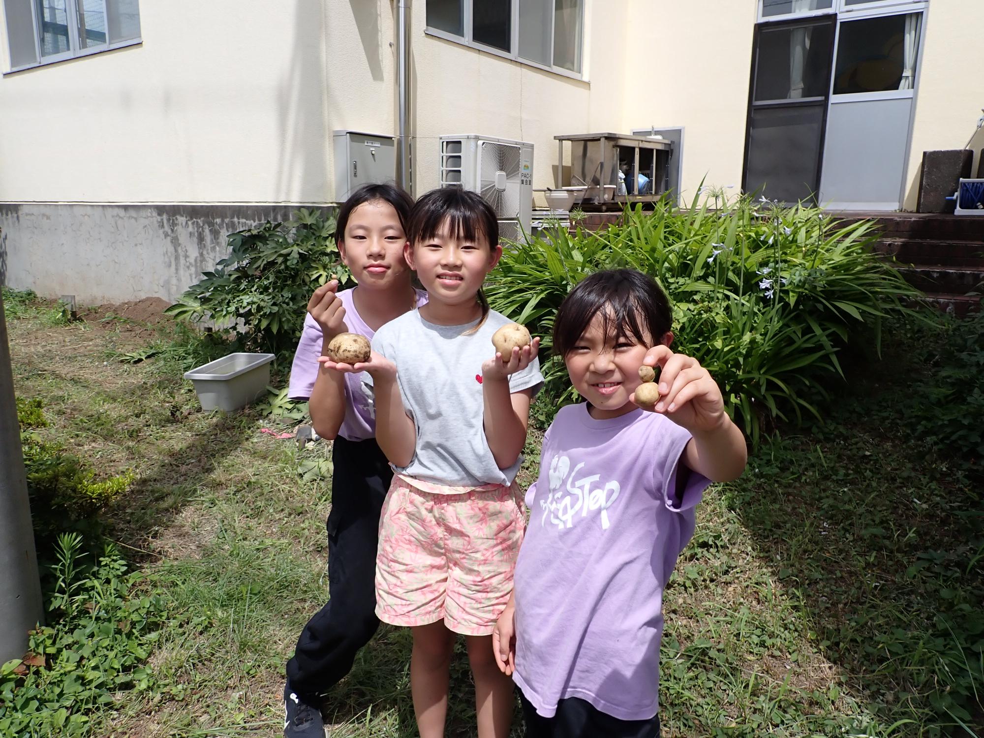 じゃがいもを掘って、掲げる女の子の写真