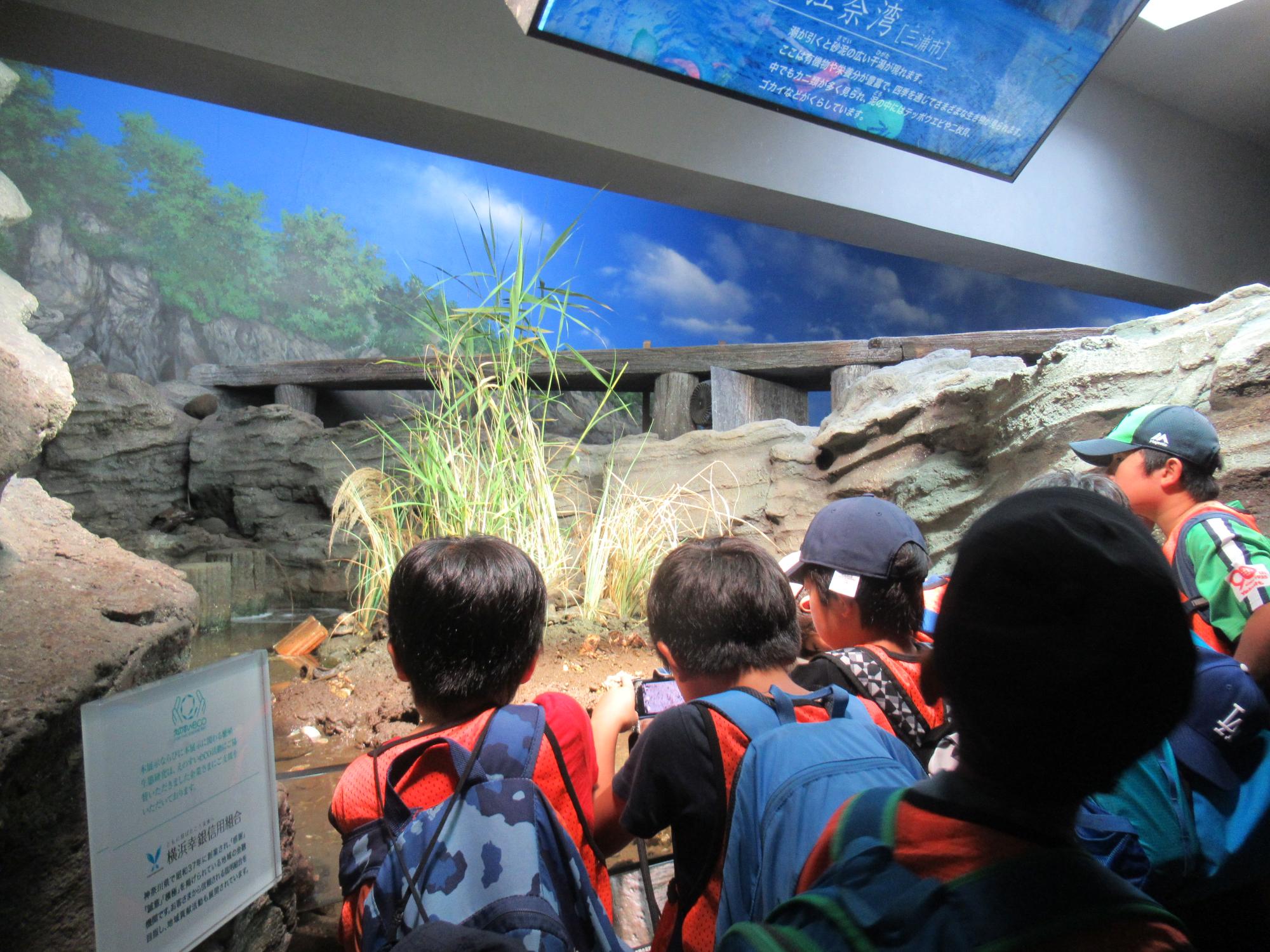 魚の展示の様子を見ている子ども達の様子