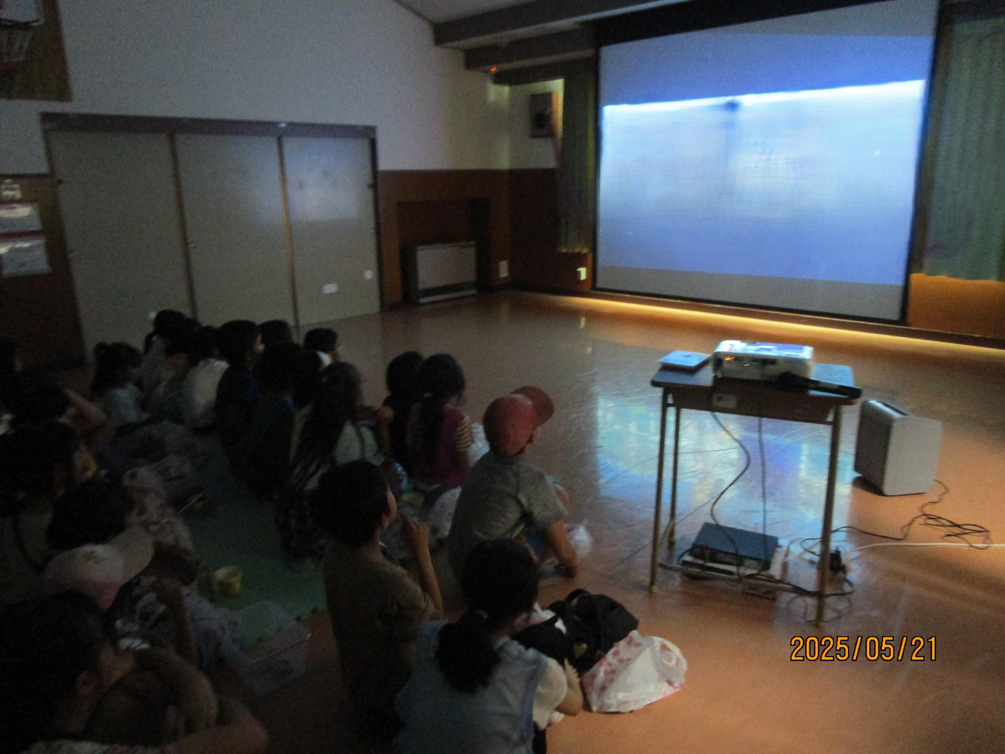 映画を見ている写真