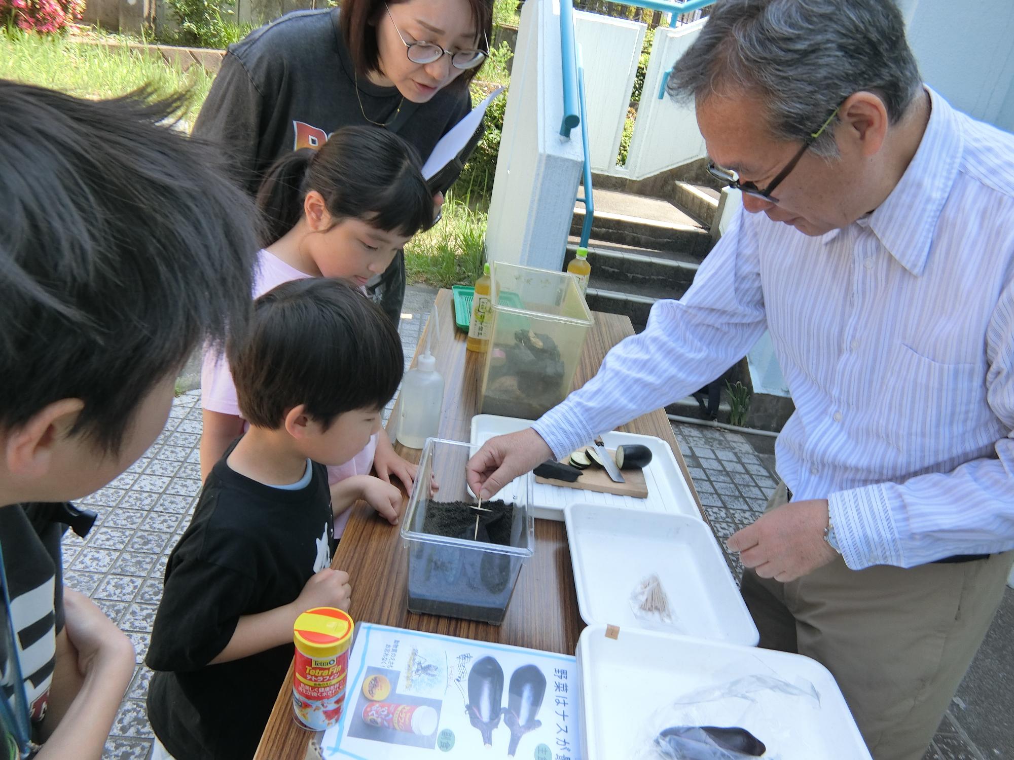 鈴虫の説明を受けている様子