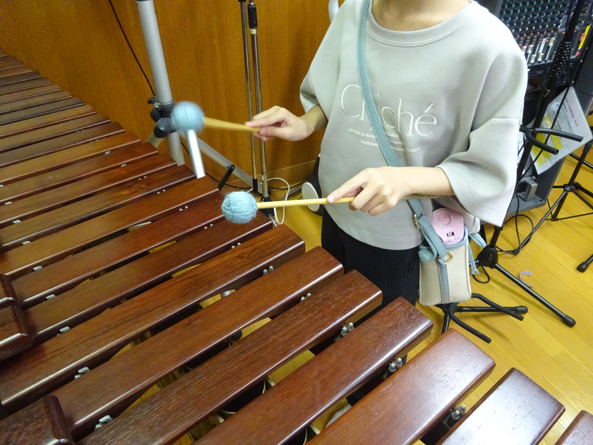 音楽室体験会
