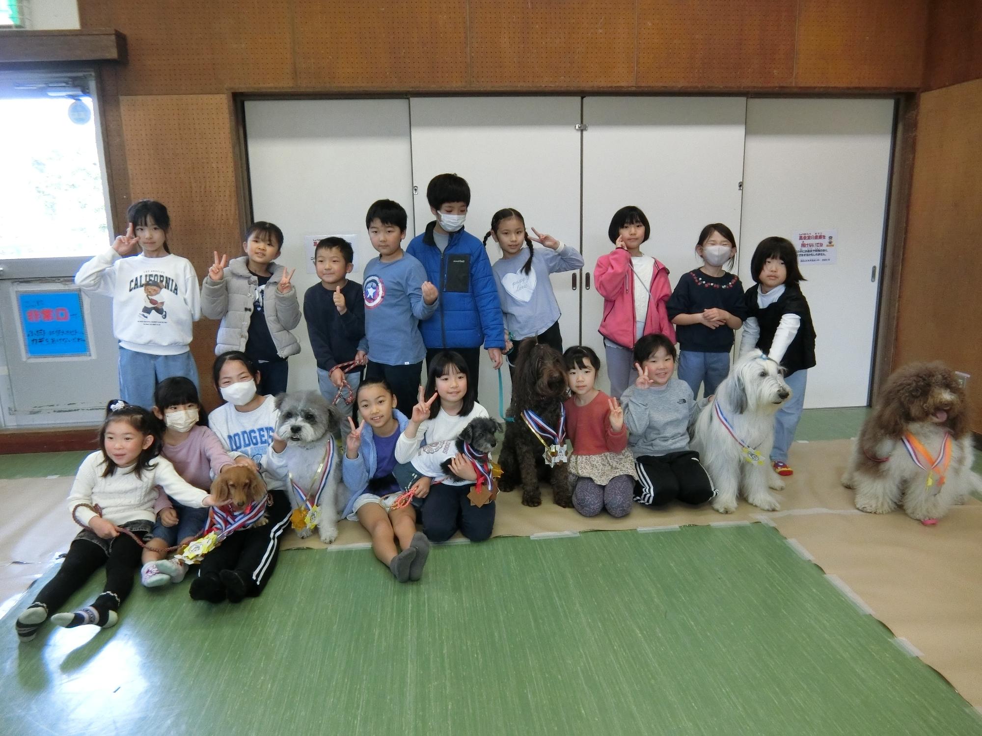 シェアドックスクール33