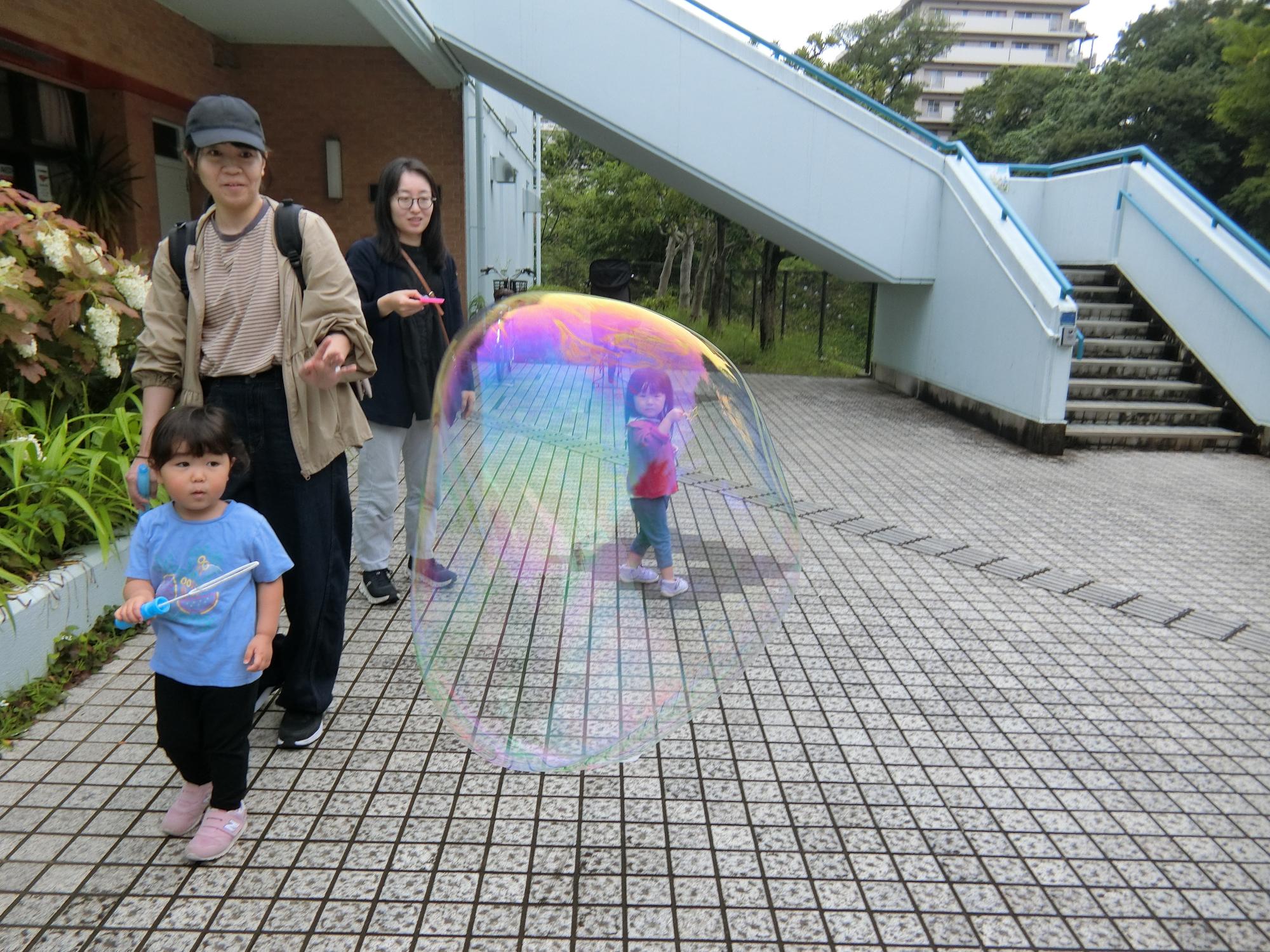 kikimo