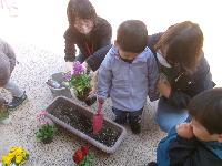 親子でお花を植えているところ