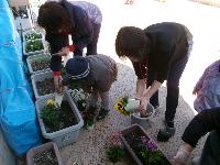 お花を植えているところ