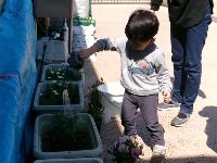 植た花に水をあげている写真