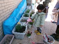 植た花に水をあげている写真