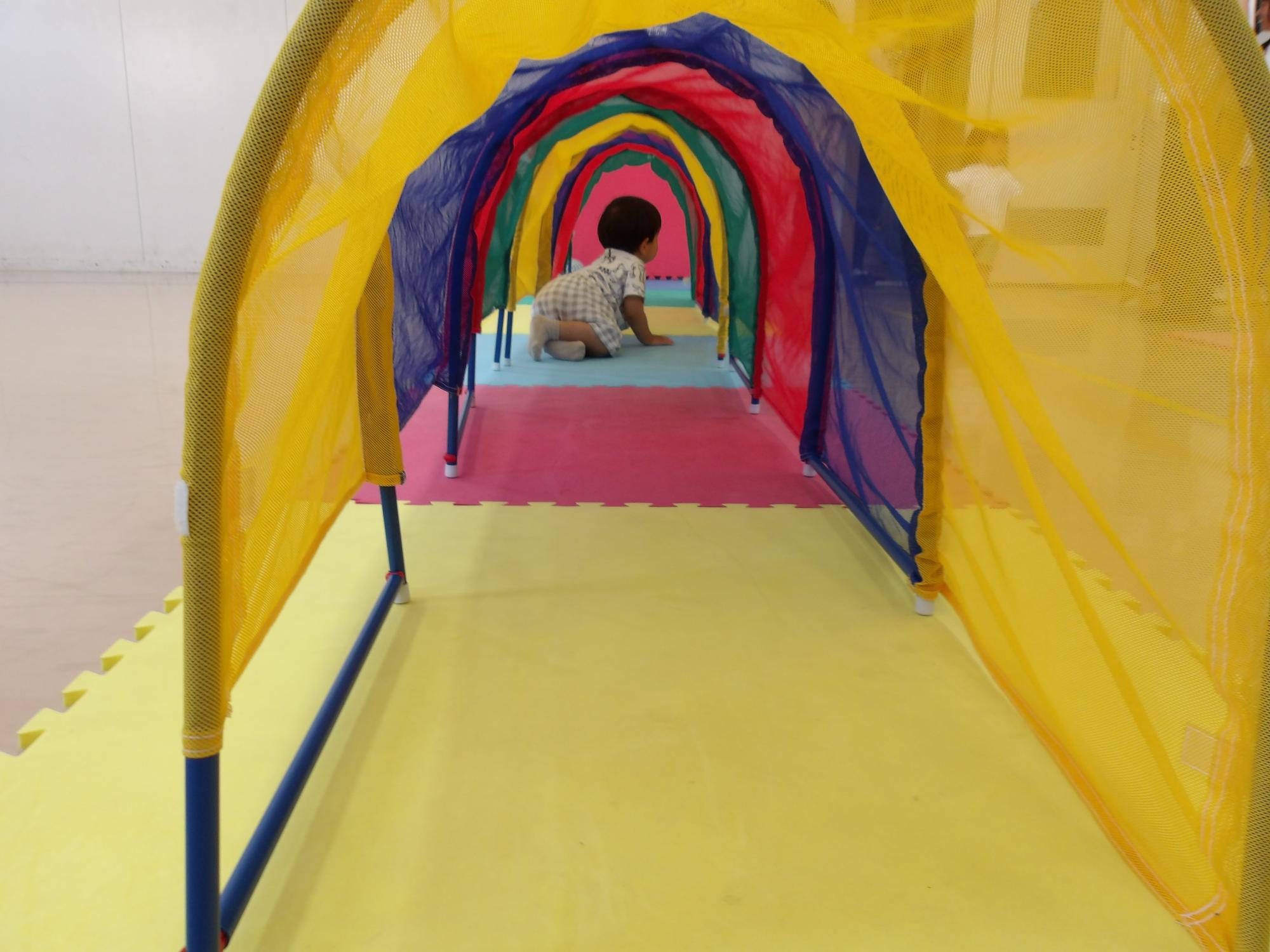 トンネルで遊んでいる様子