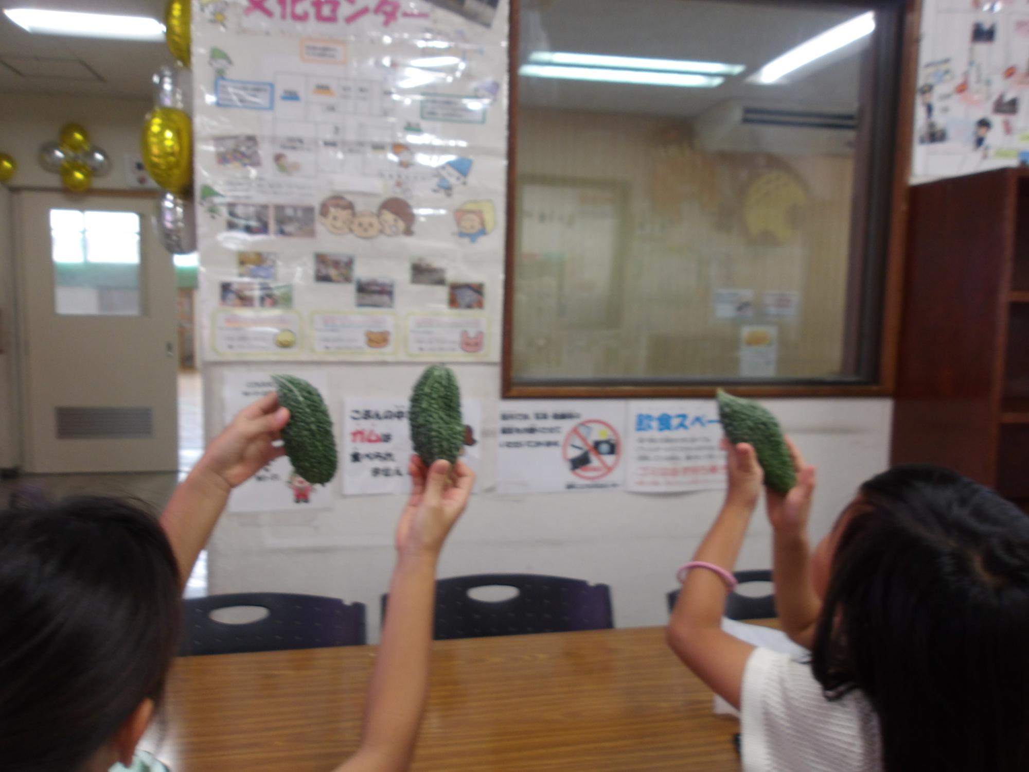 収穫したゴーヤの写真
