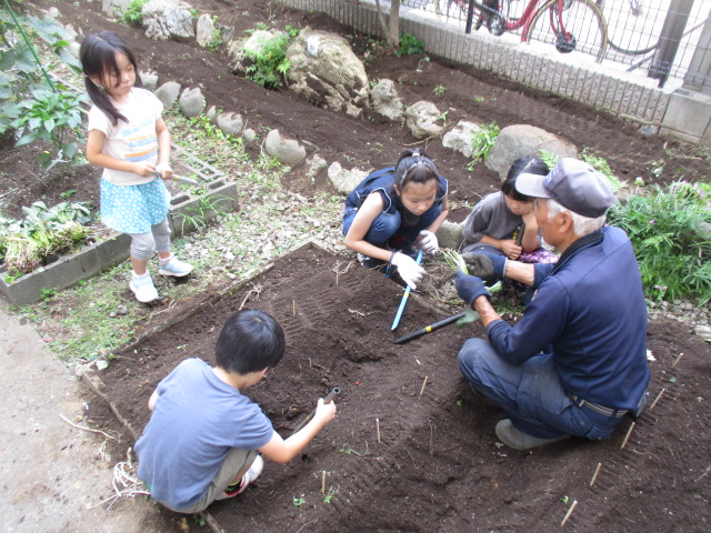 子どもたちと職員がさつまいもの苗を植えている様子の写真