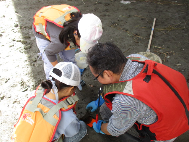 大師河原干潟館の職員とカニを探している2人の子どもの様子の写真