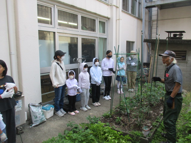 さつまいもの苗の植え方についての話を聞いている子どもたちの様子の写真