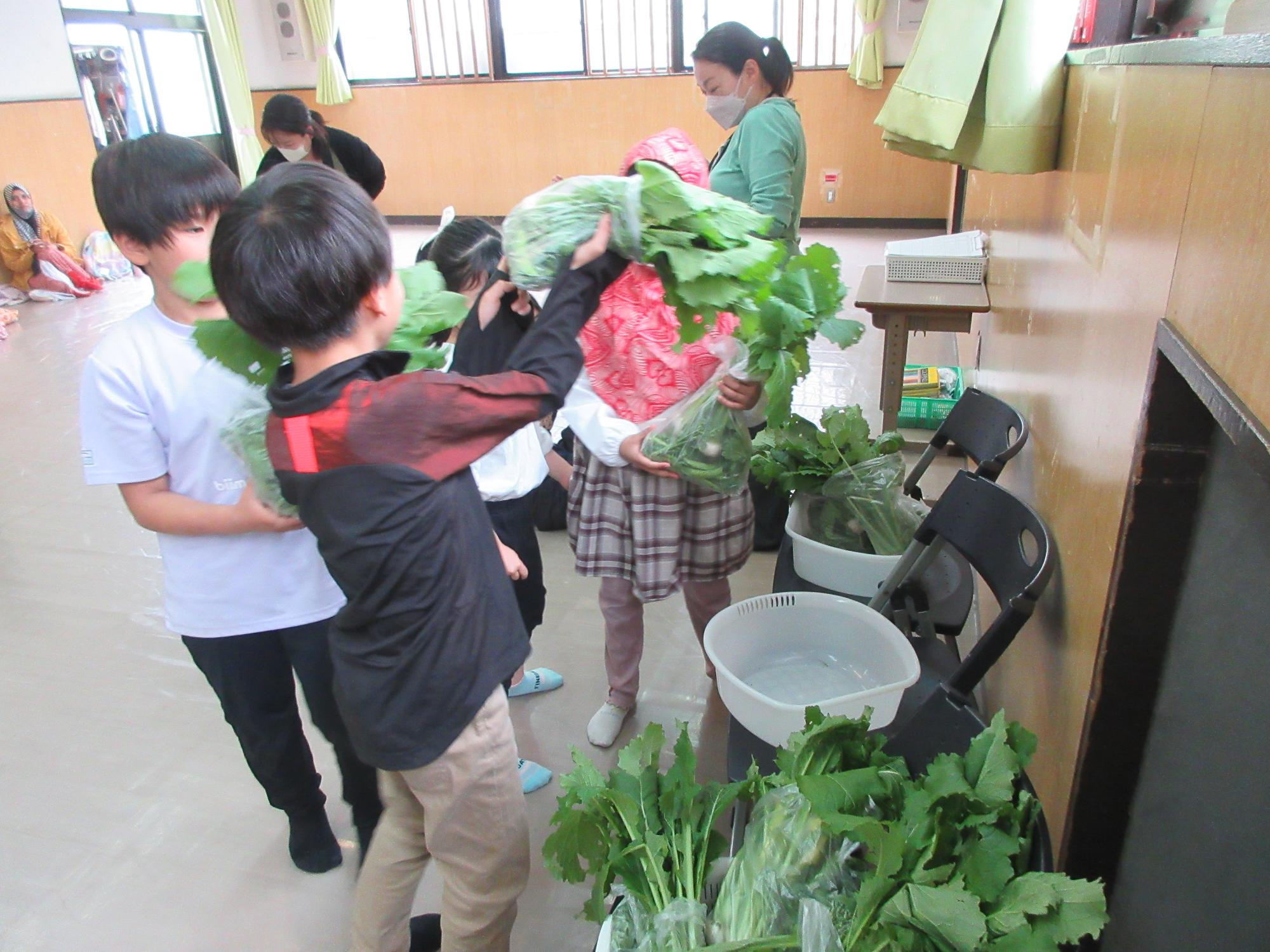収穫した野菜のお土産を選んでいる小学生の写真
