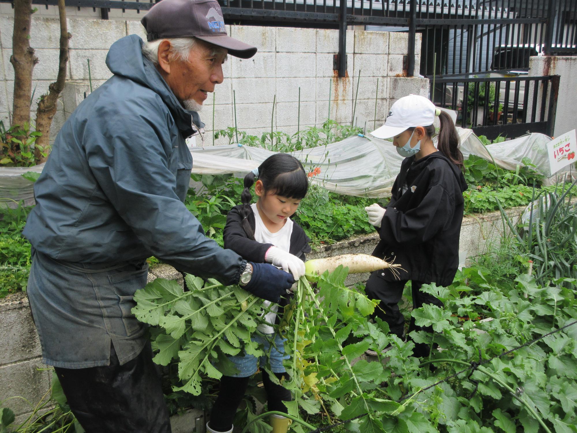 大きな大根を持つ講師と子どもの様子の写真