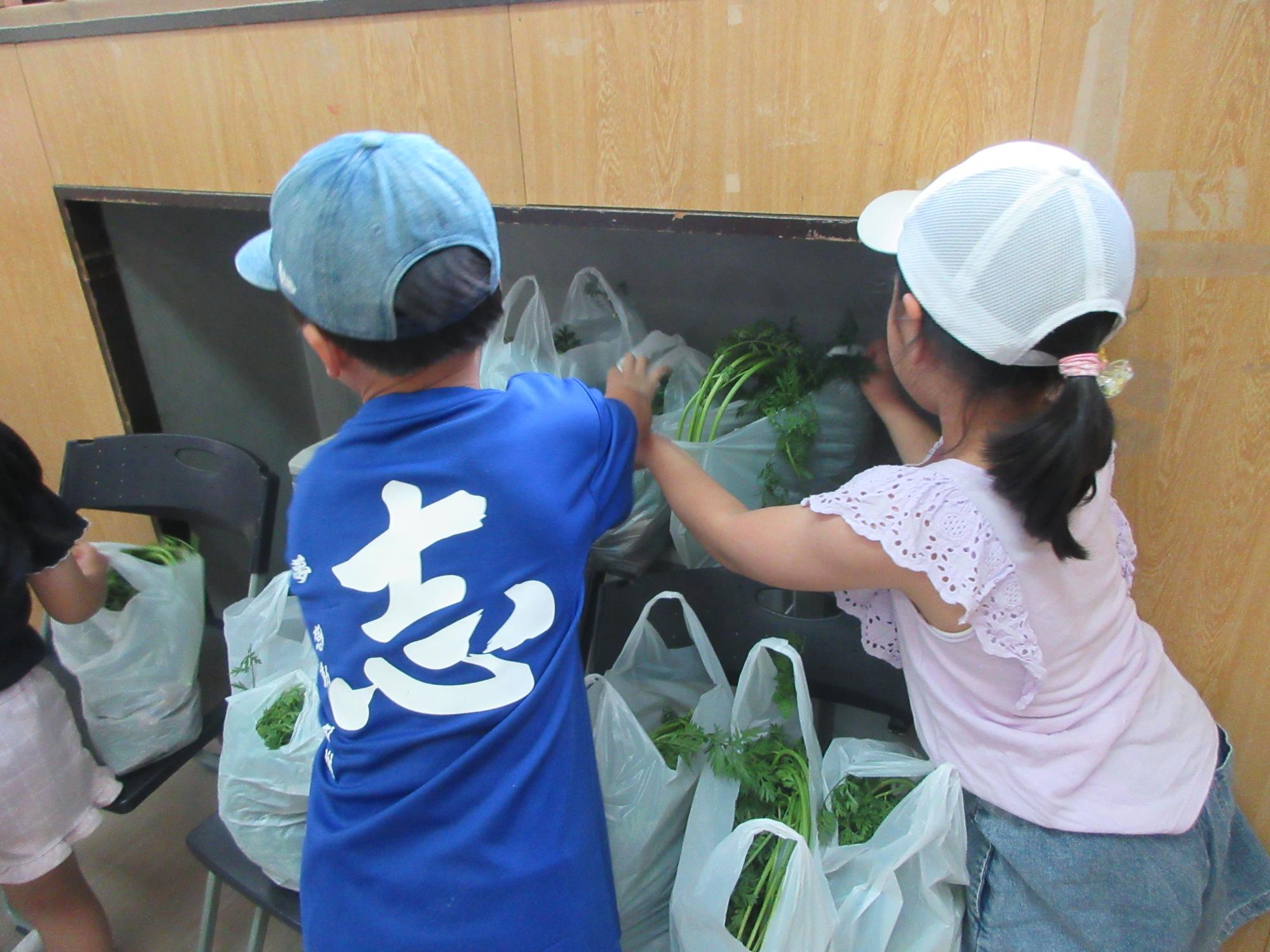 持ち帰る野菜を選ぶ小学生の様子
