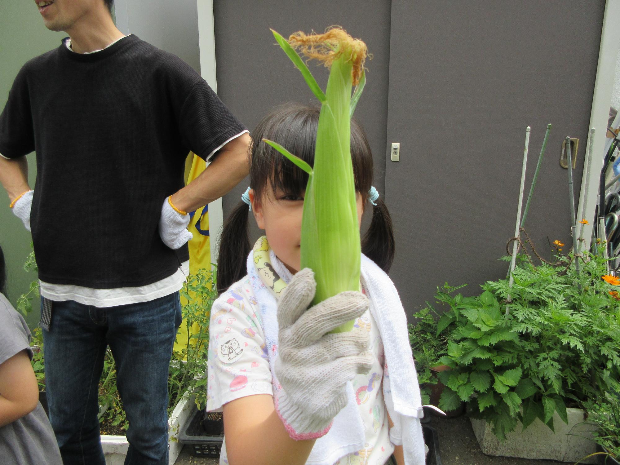 児童がとうもろこしを見せている写真