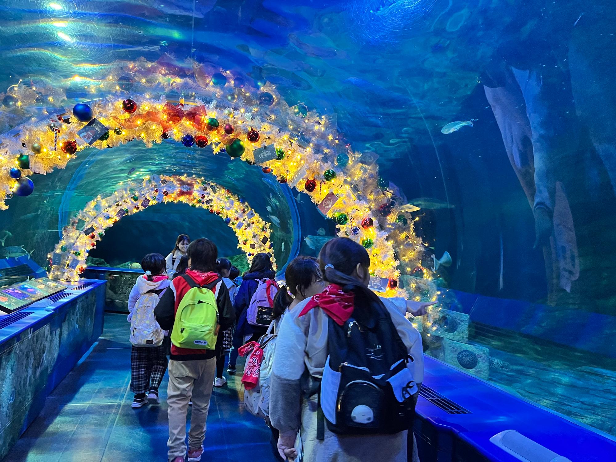 水族館内を鑑賞する児童