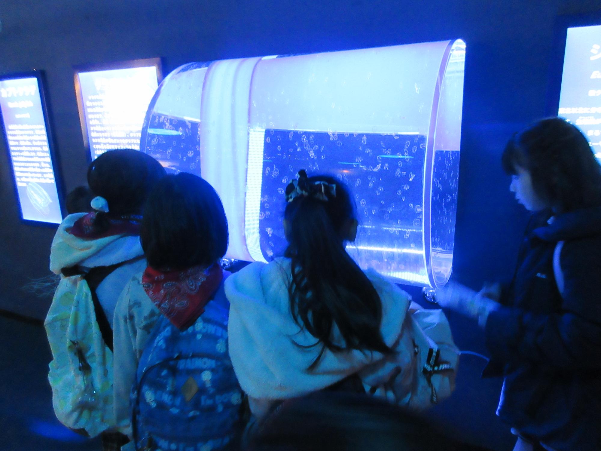 水族館内を鑑賞する児童