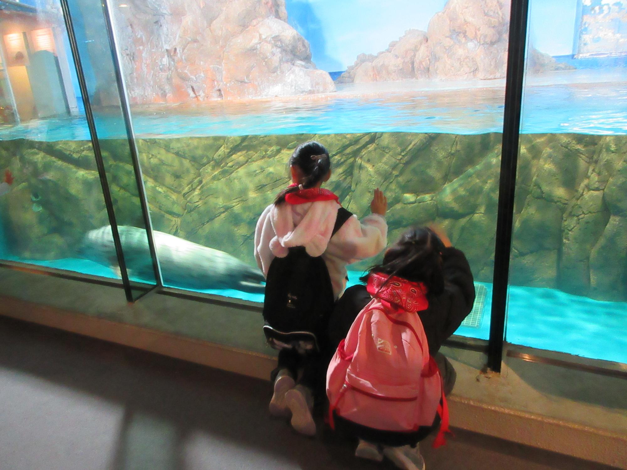水族館内を鑑賞する児童