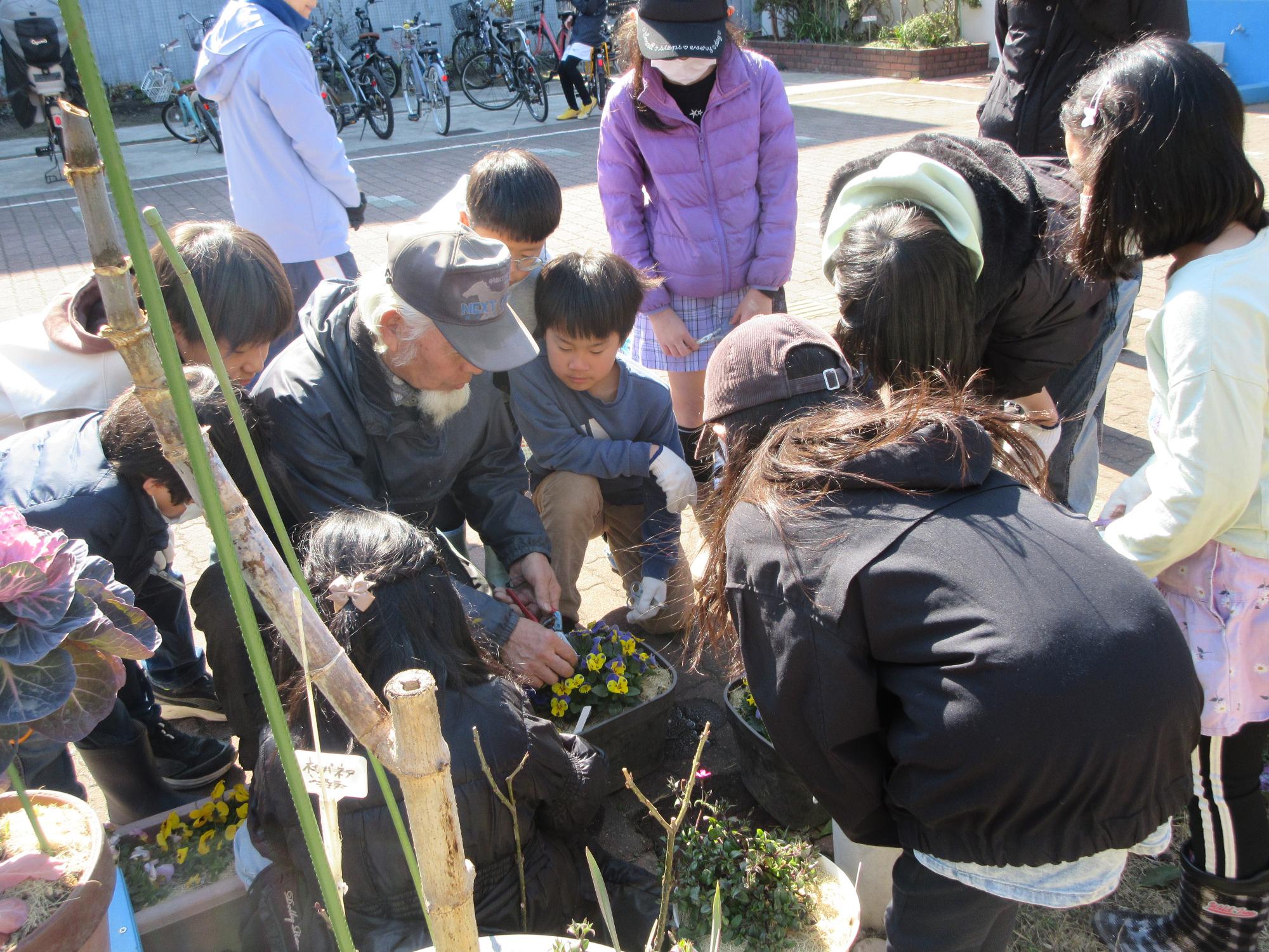 児童たちに花がら摘みの説明をしている様子
