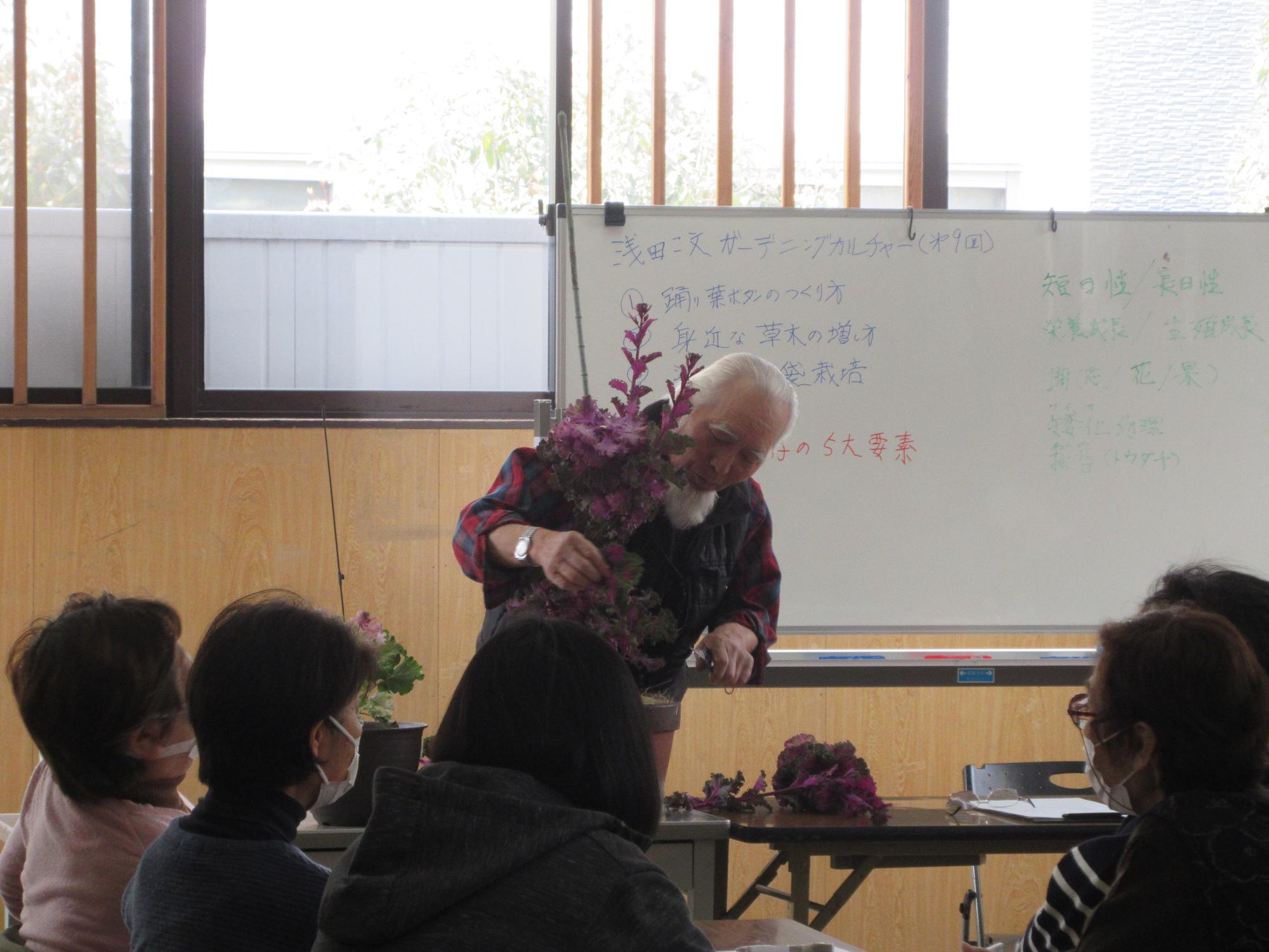 葉牡丹の手入れ方法を説明している様子