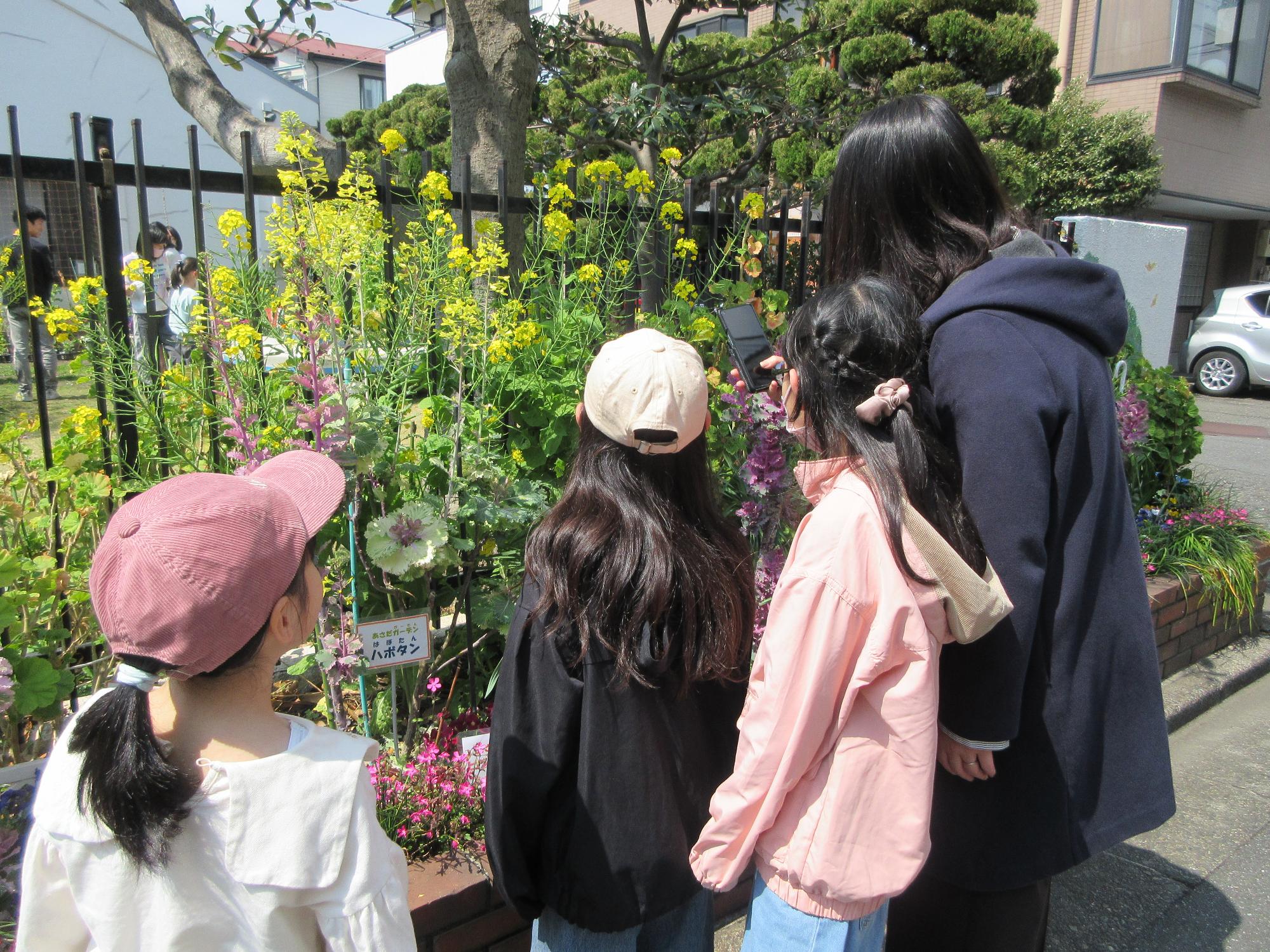 児童たちがお花を見ている様子