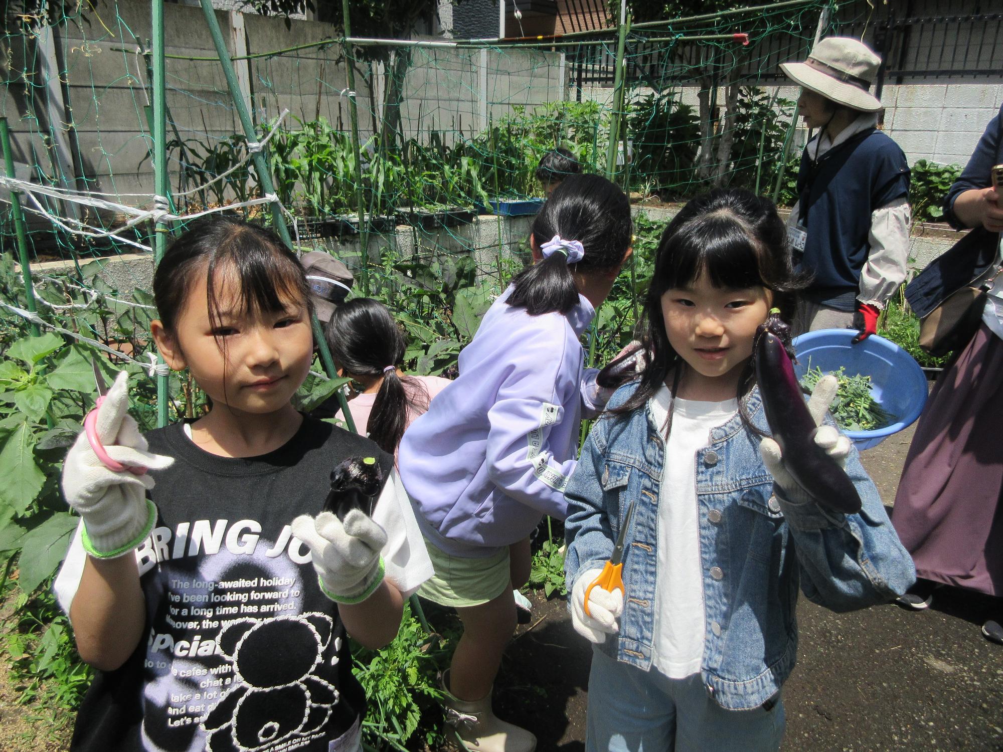 収穫したナスを持つ小学生の様子