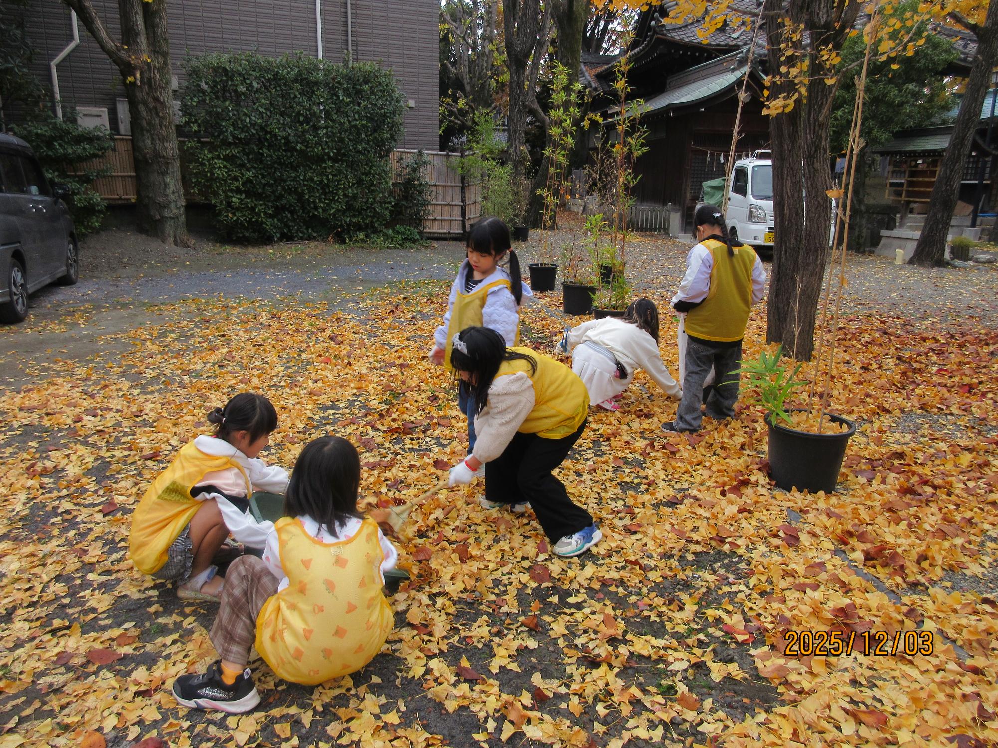 2025年12月_落ち葉拾いの様子2
