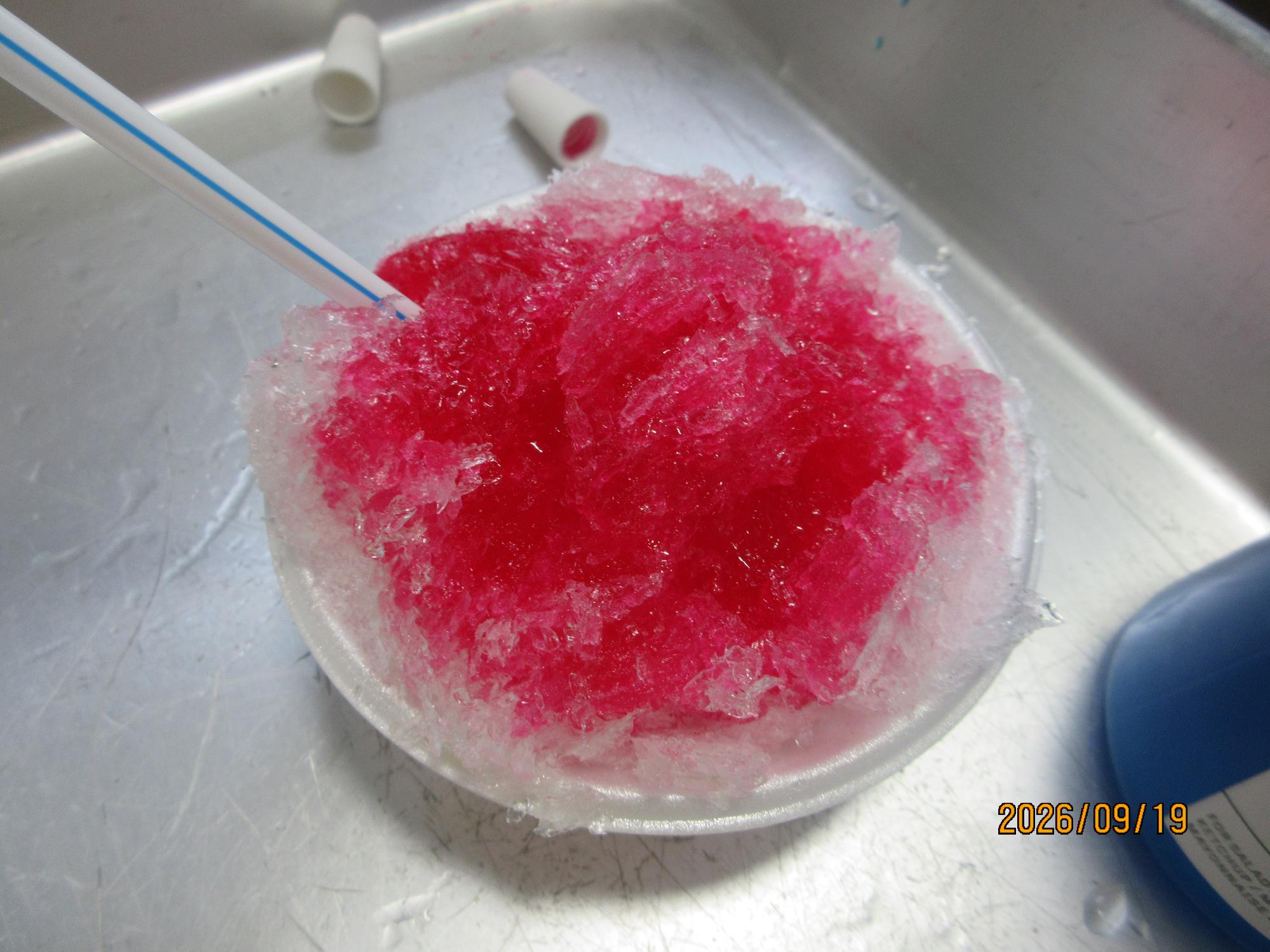 かき氷の写真