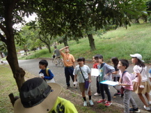 公園に集まった子どもたちや先生が木の上の方を見上げている写真