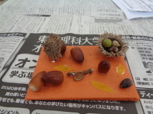 大小さまざまなどんぐりや折り紙を使って出来上がった作品を撮った写真