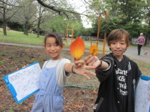 公園で拾った、きれいな落ち葉を持って見せている2名の子供の写真
