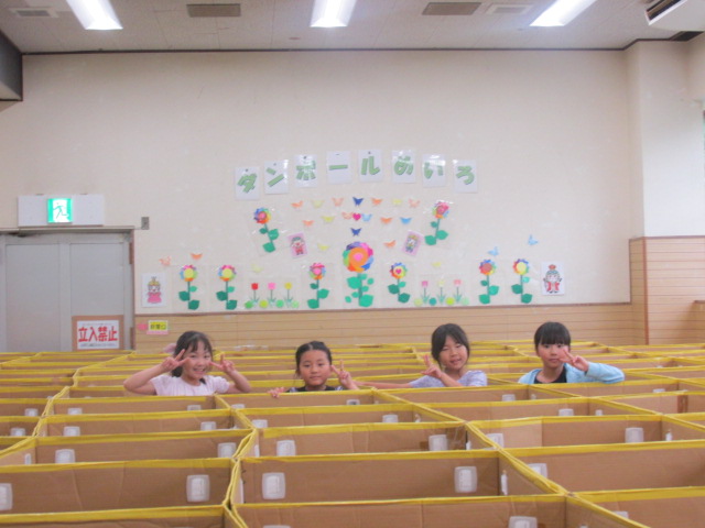 ダンボール迷路から女の子4人が顔を出している写真