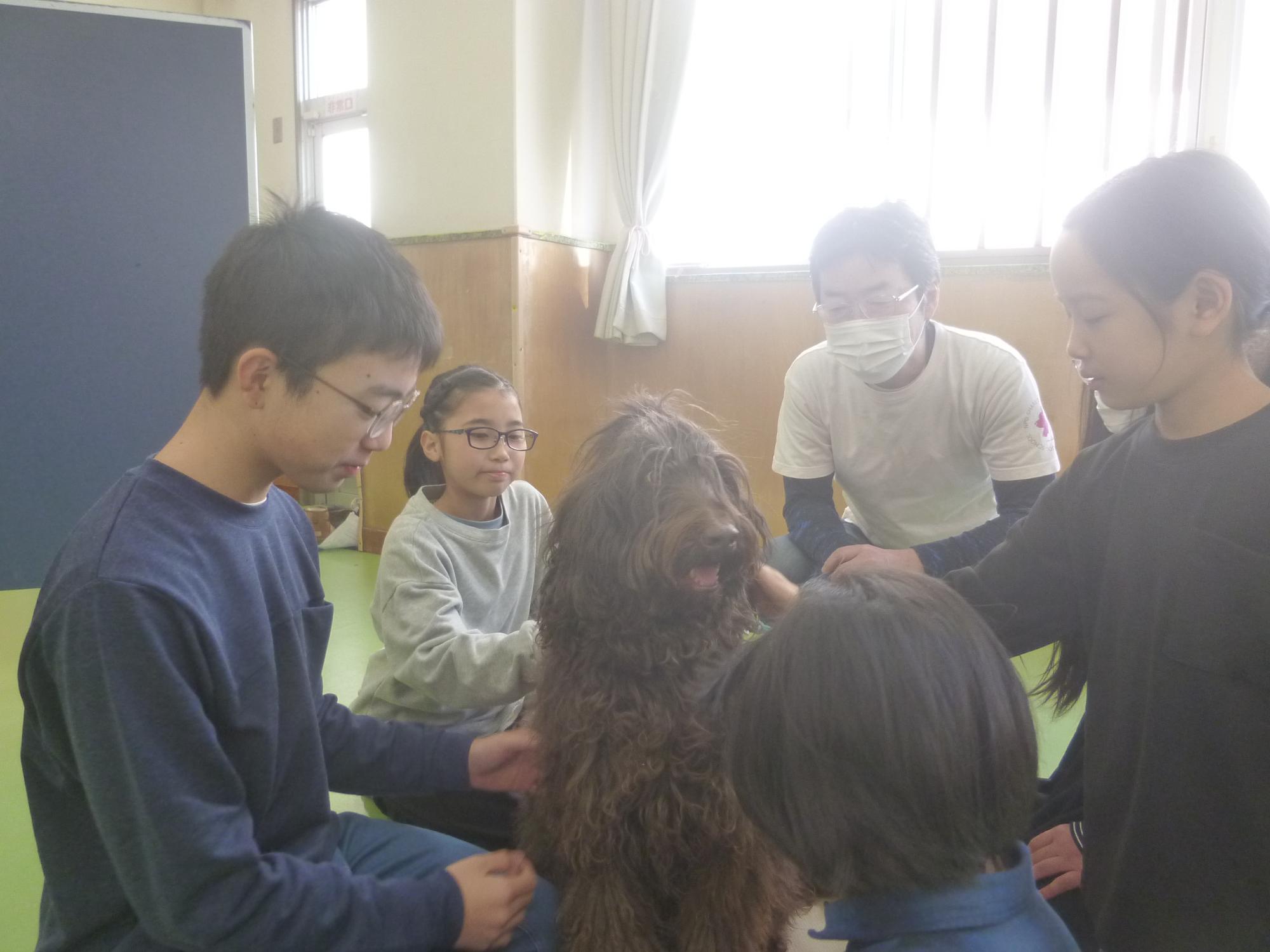 子どもたちが毛の長い犬種のワンちゃんを穏やかな顔で撫でている写真