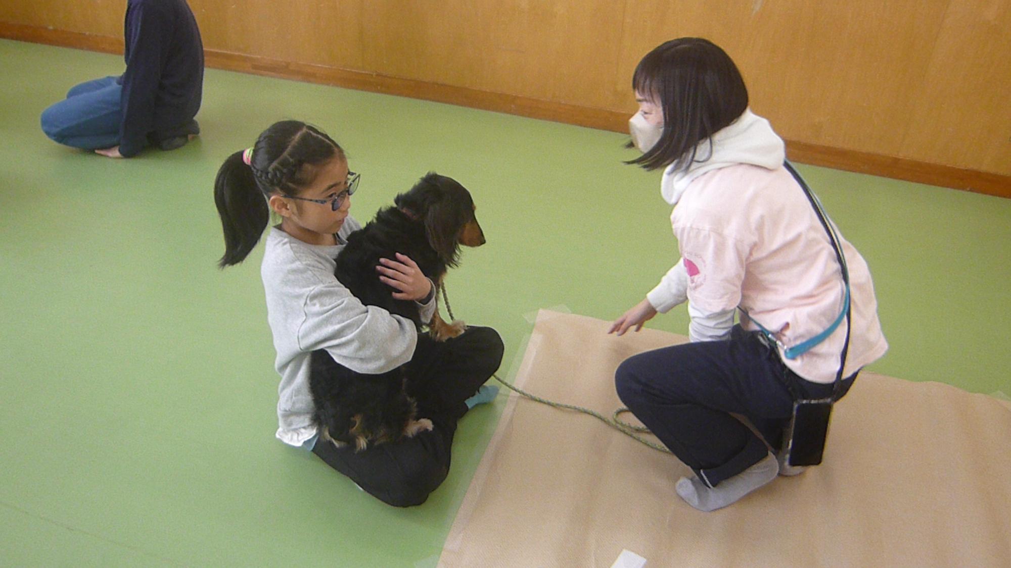 小型犬を抱きしめる子どもの写真