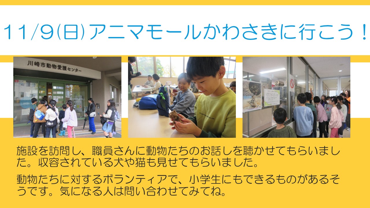 11月9日アニマモールかわさき訪問の様子