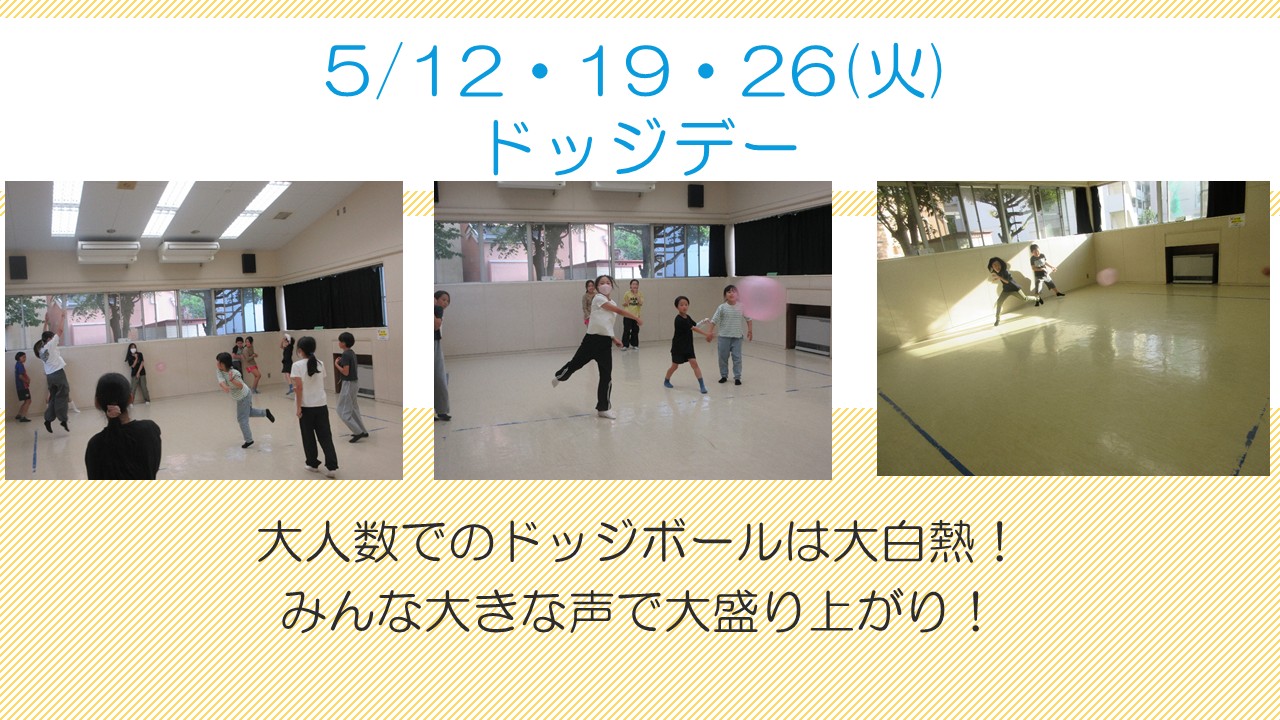 ドッジデー5月活動風景