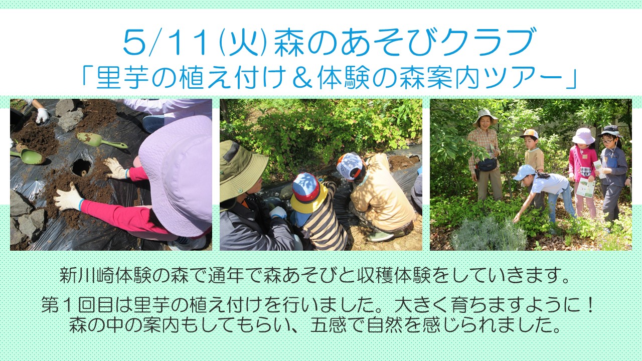 森の遊びクラブの様子