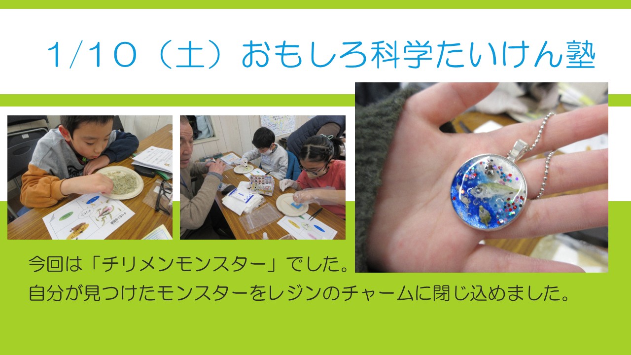 おもしろ科学たいけん塾チリメンモンスターの様子