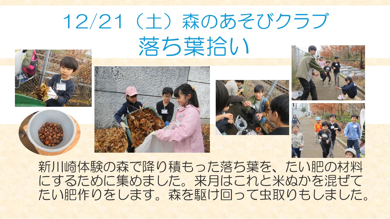 森のあそびクラブ落ち葉拾いの様子