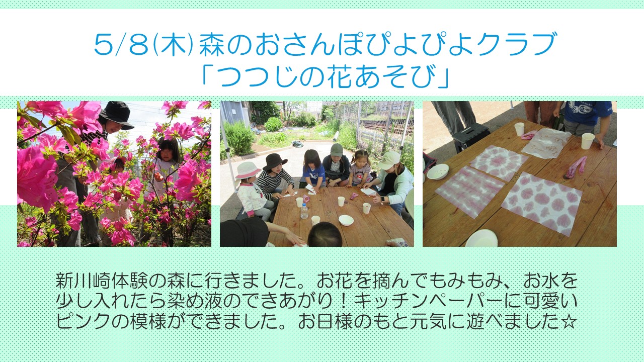 森の遊びぴよぴよクラブの様子