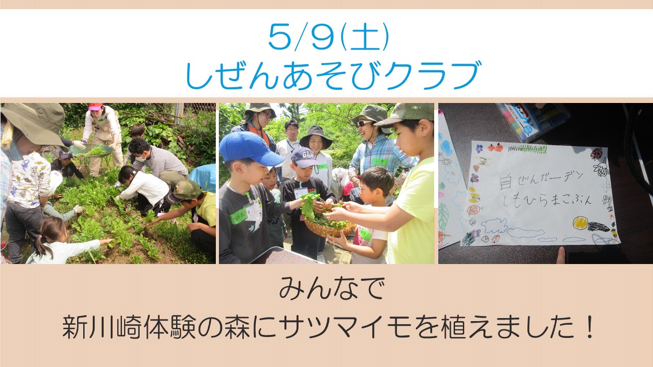 しぜんあそびクラブ5月活動風景