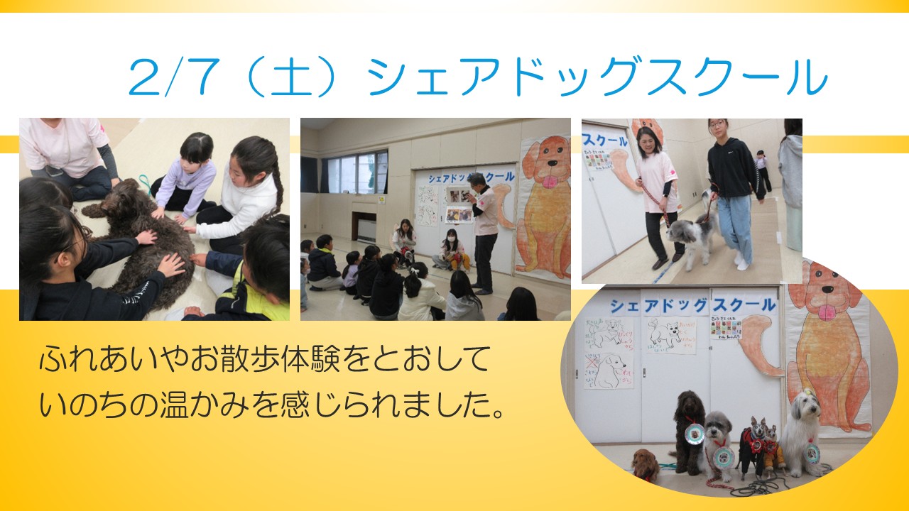 シェアドッグスクール行事の様子