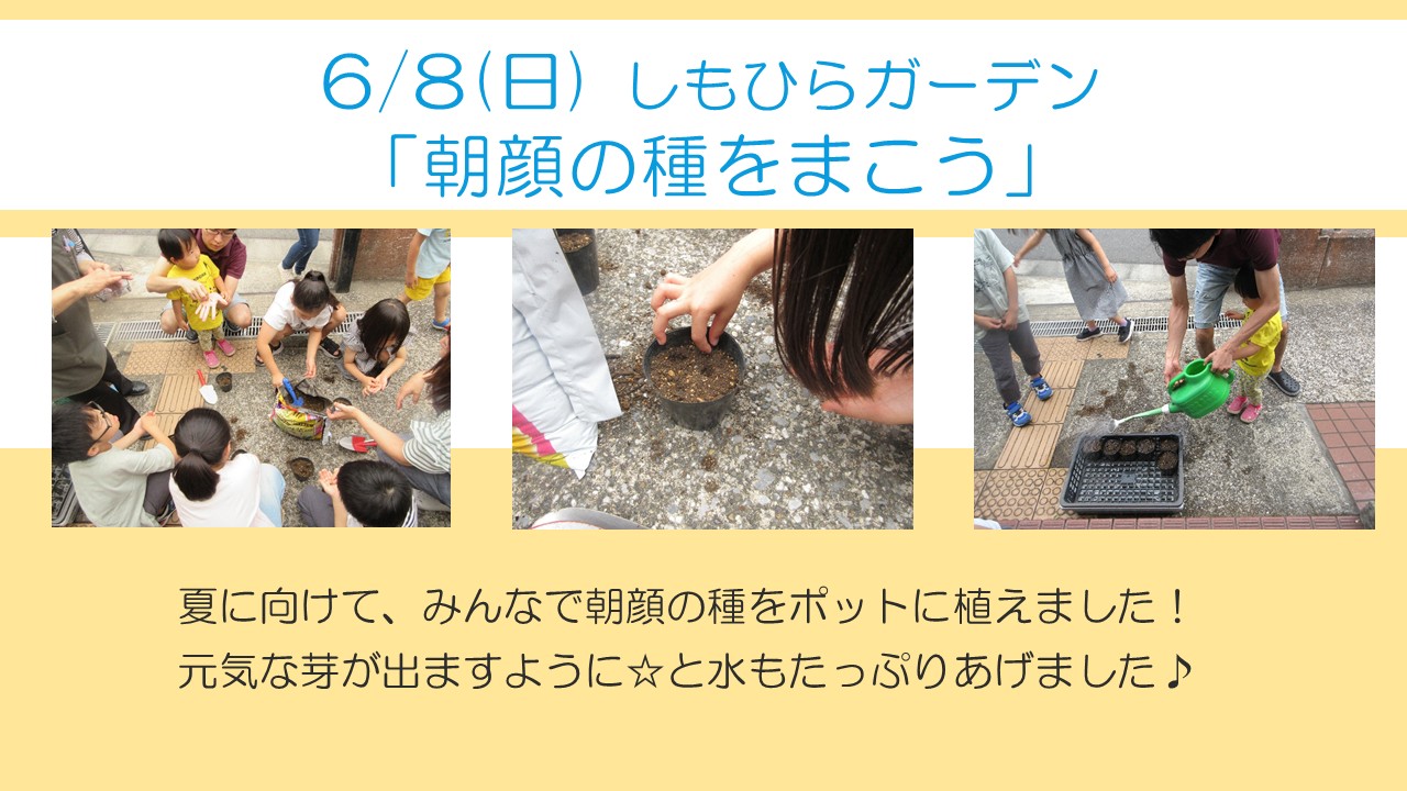下平間こ文6月しもひらガーデンの様子。花壇にあs顔の種をまきました