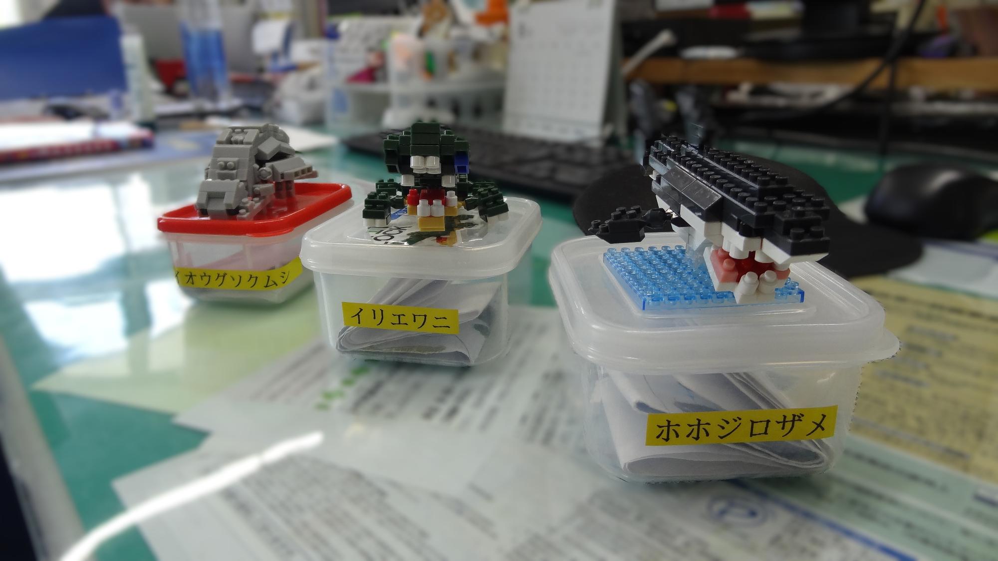 子どもが花壇に新しい花を植える様子