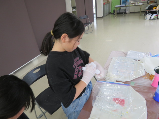 Tシャツを丸める子どもの写真